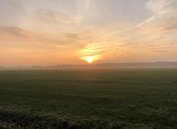 Zonnig terras met uitzicht op de natuur bij Vakantiehuis in Bergentheim, Vechtstreek, Overijssel.