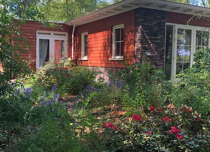 Zonnig terras met uitzicht op de natuur bij Vakantiehuis in Bergentheim, Vechtstreek, Overijssel.