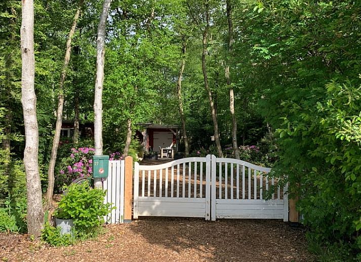 Comfortabele zithoek op het terras van Vakantiehuis in Bergentheim, omgeven door bomen in de Vechtstreek, Overijssel.