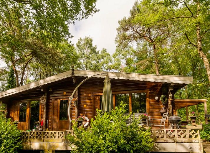 Guest house 542517 • Holiday property Vechtstreek • Vakantiehuis in Bergentheim 
