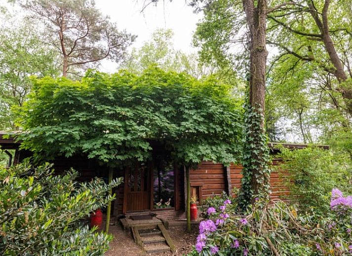 Unterkunft 542517 - Ferienhaus Vechtstreek - Vakantiehuis in Bergentheim