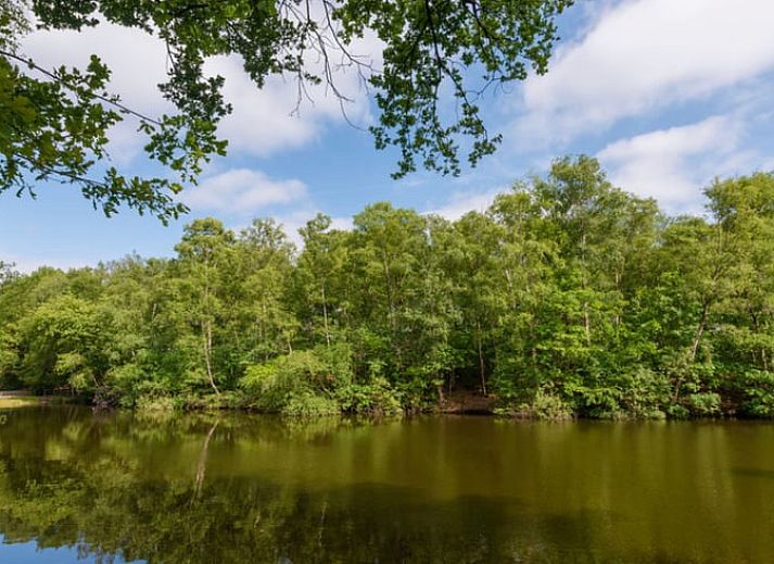 Unterkunft 542517 - Ferienhaus Vechtstreek - Vakantiehuis in Bergentheim