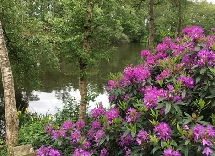 Unterkunft 542517 - Ferienhaus Vechtstreek - Vakantiehuis in Bergentheim