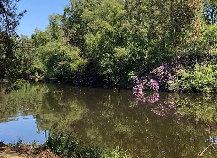 Unterkunft 542517 - Ferienhaus Vechtstreek - Vakantiehuis in Bergentheim
