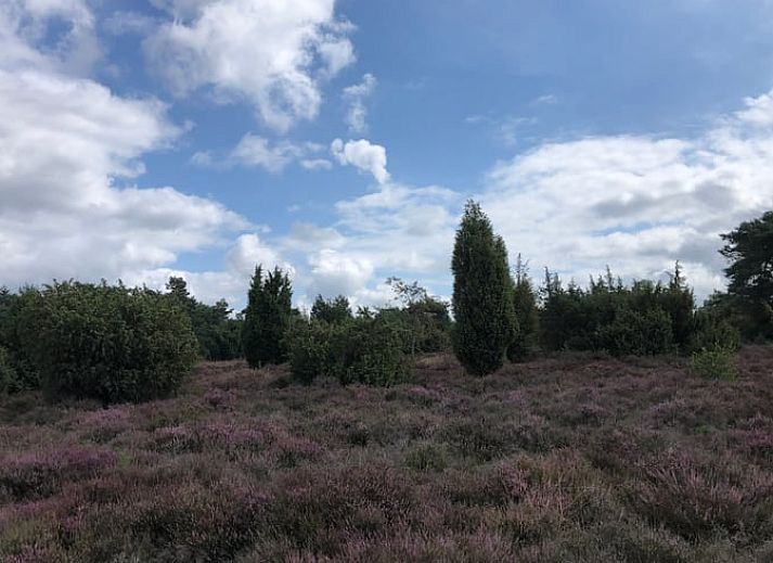 Warm wooden sauna in Holiday home in Lemele, perfect for relaxation during your stay in Vechtstreek, Overijssel.