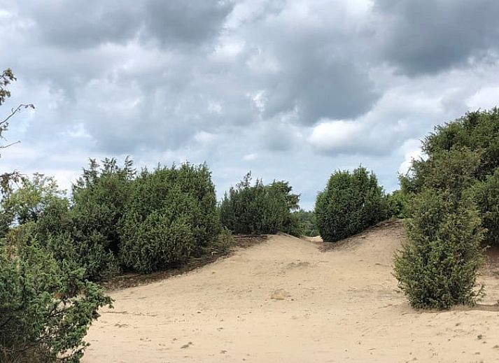 Warm wooden sauna in Holiday home in Lemele, perfect for relaxation during your stay in Vechtstreek, Overijssel.