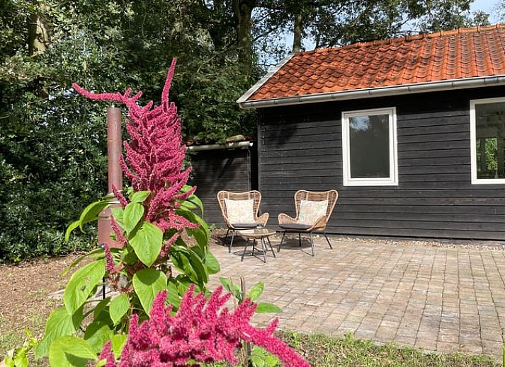 Ferienhaus in Lemele mit Terrasse und Garten in Vechtstreek, Overijssel.