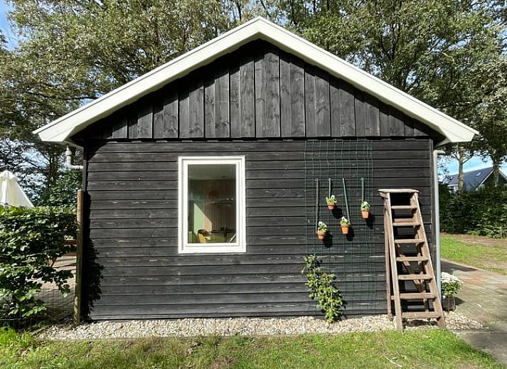 Ferienhaus in Lemele mit Terrasse und Garten in Vechtstreek, Overijssel.