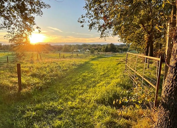 Rustikales Ferienhaus in Lemele mit Holzfassade in der Region Vecht, Overijssel.