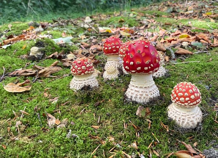 Rustikales Ferienhaus in Lemele mit Holzfassade in der Region Vecht, Overijssel.
