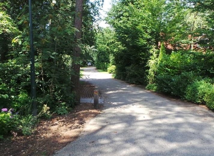 Unterkunft 542625 - Ferienhaus Vechtstreek - Vakantiehuisje in Lemele