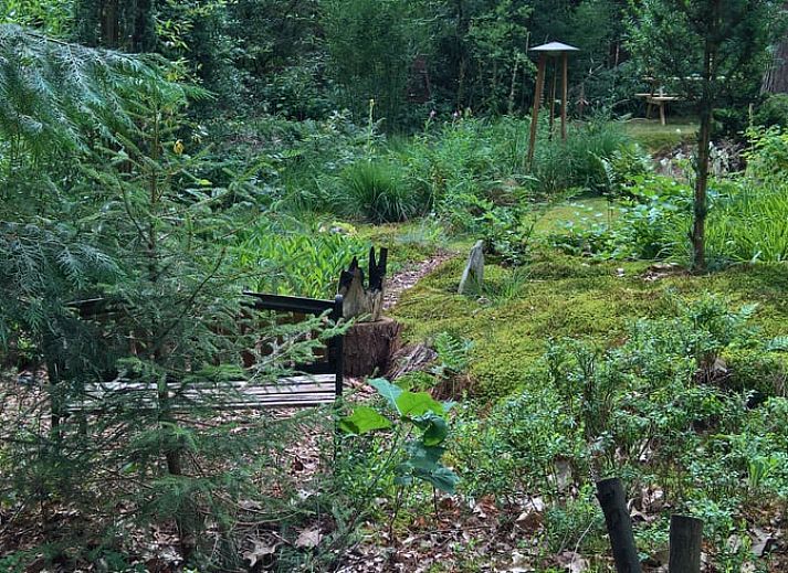 Unterkunft 542626 - Ferienhaus Vechtstreek - Vakantiehuisje in Lemele