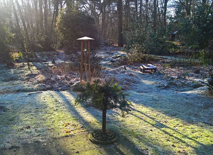Unterkunft 542626 - Ferienhaus Vechtstreek - Vakantiehuisje in Lemele