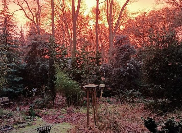 Unterkunft 542626 - Ferienhaus Vechtstreek - Vakantiehuisje in Lemele
