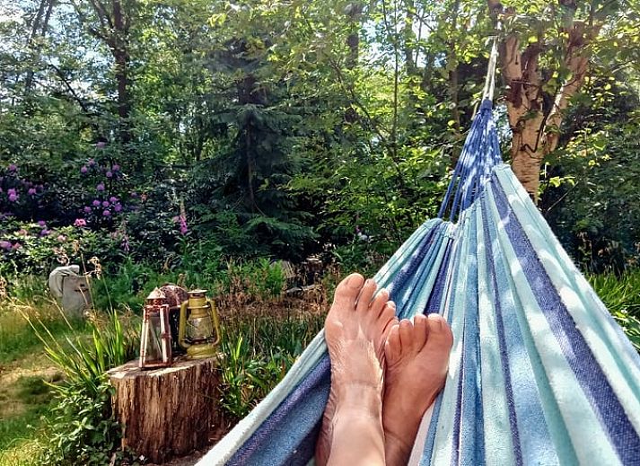 Unterkunft 542626 - Ferienhaus Vechtstreek - Vakantiehuisje in Lemele