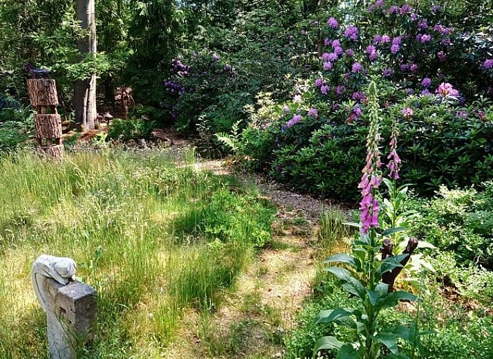 Unterkunft 542626 - Ferienhaus Vechtstreek - Vakantiehuisje in Lemele