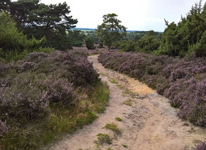 Unterkunft 542626 - Ferienhaus Vechtstreek - Vakantiehuisje in Lemele