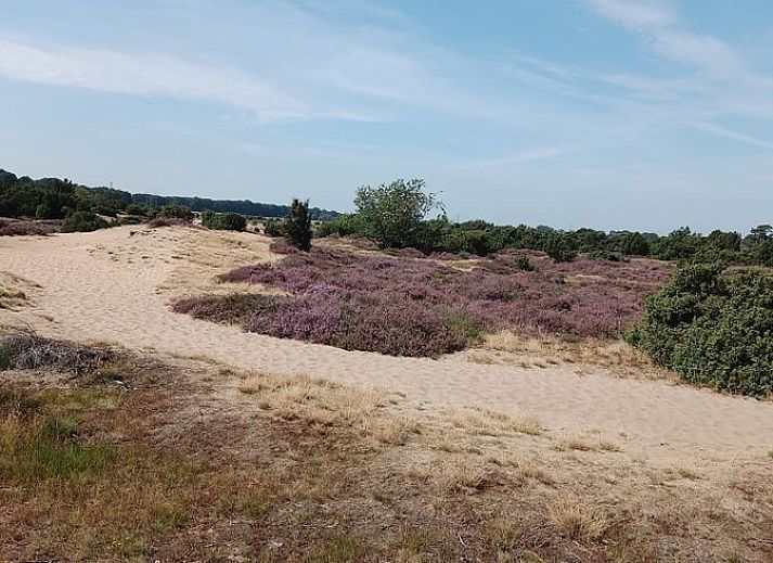 Unterkunft 542626 - Ferienhaus Vechtstreek - Vakantiehuisje in Lemele