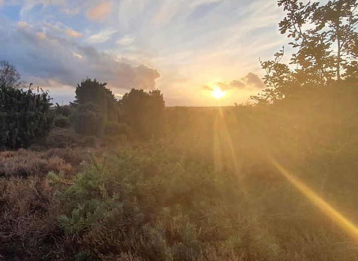 Attraktiv beleuchtetes Ferienhaus in Lemele, Vechtstreek, Overijssel, umgeben von Natur und Ruhe, ideal fuer einen entspannten Aufenthalt.