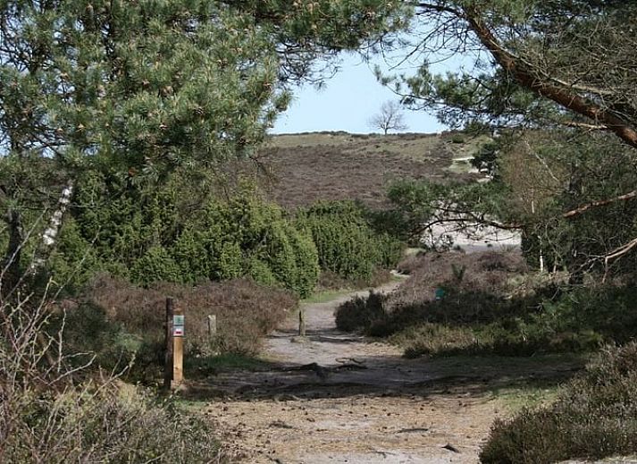 Attraktiv beleuchtetes Ferienhaus in Lemele, Vechtstreek, Overijssel, umgeben von Natur und Ruhe, ideal fuer einen entspannten Aufenthalt.