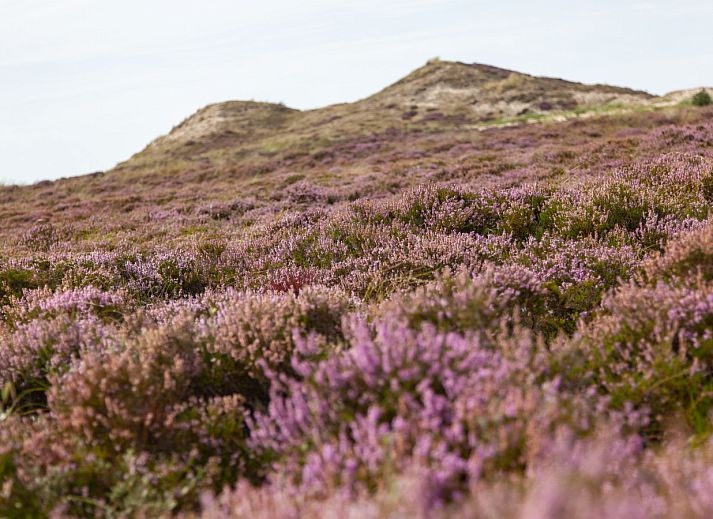 Moderne badkamer met ligbad in vakantiehuis OV650, Lemele, Vechtstreek.