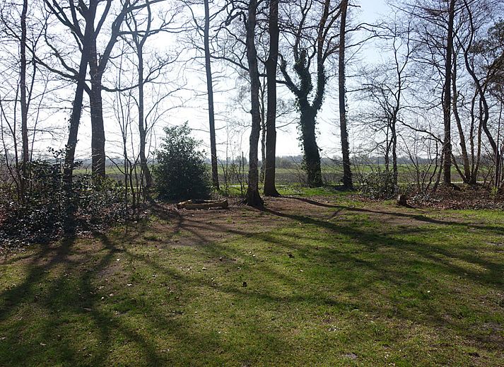 Gezellige woonkamer in vakantiehuis OV650, Lemele met comfortabele stoelen.