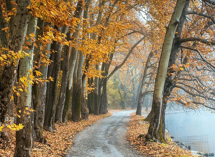 Uitzicht op de tuin vanuit de woonkamer van OV650, Lemele, Overijssel.