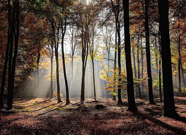 Moderne keuken in Huisje in Lemele, Vechtstreek, Overijssel met uitzicht op de tuin.