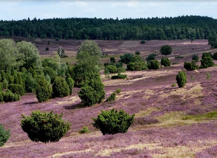 Moderne keuken in Huisje in Lemele, Vechtstreek, Overijssel met uitzicht op de tuin.