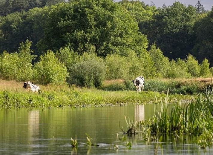Comfortabele slaapkamer met tweepersoonsbed in Huisje in Lemele, Overijssel met toegang tot de tuin.