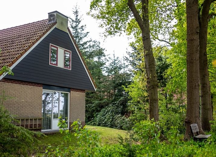 Unterkunft 542637 - Ferienhaus Vechtstreek - Huisje in Lemele