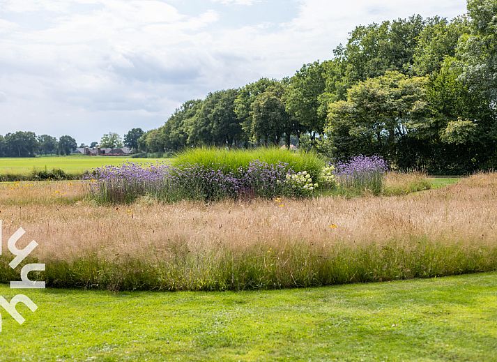Panoramablick auf die ueppigen Felder rund um das Ferienhaus OV689 in Lemele, Vechtstreek, Overijssel.