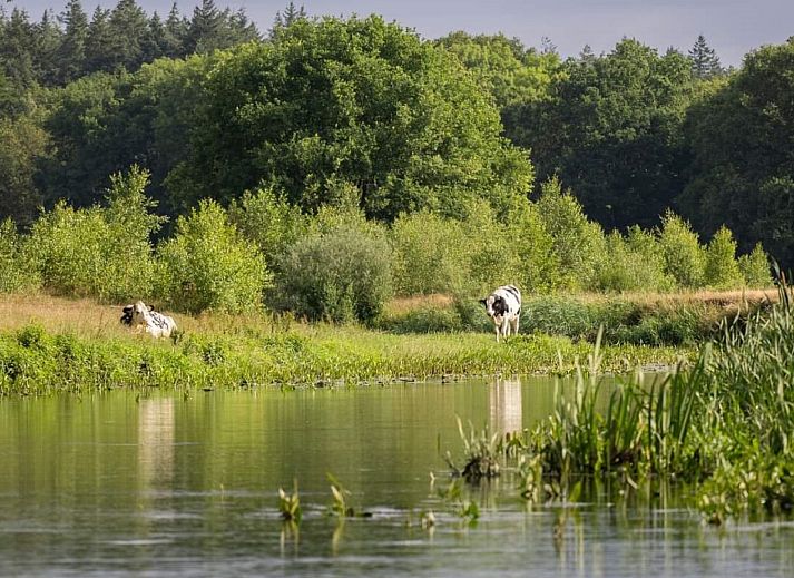 OV675 vacation home in Lemele, Vecht region, Overijssel surrounded by green nature.