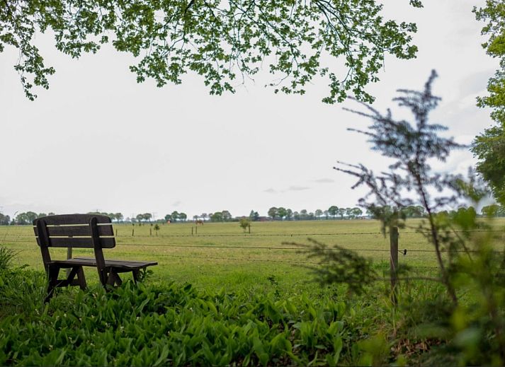 OV675 vacation home in Lemele, Vecht region, Overijssel surrounded by green nature.