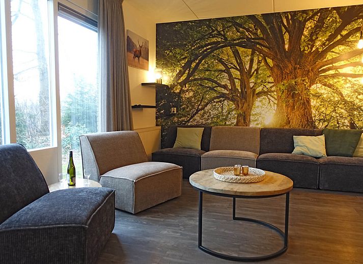 View of nature from OV675 vacation home in Lemele, Vechtstreek, Overijssel.