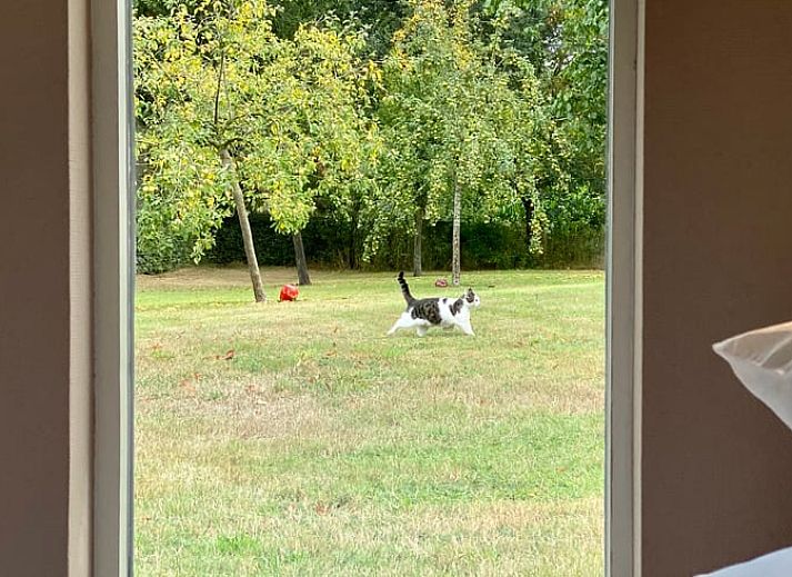 Unterkunft 542702 - Ferienhaus Vechtstreek - Vakantiehuisje in Radewijk