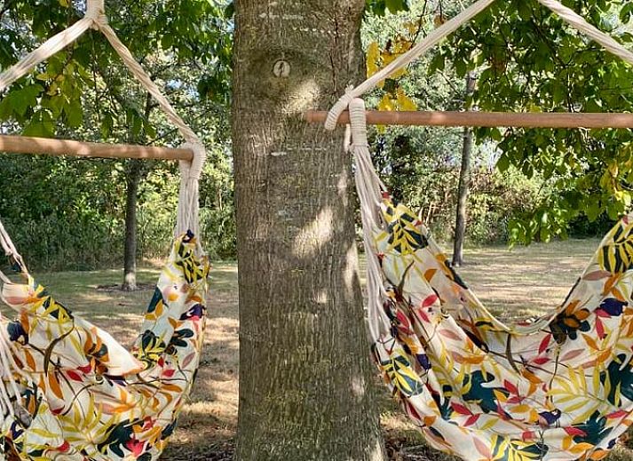 Unterkunft 542702 - Ferienhaus Vechtstreek - Vakantiehuisje in Radewijk