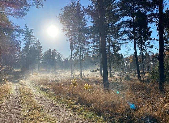 Unterkunft 542702 - Ferienhaus Vechtstreek - Vakantiehuisje in Radewijk