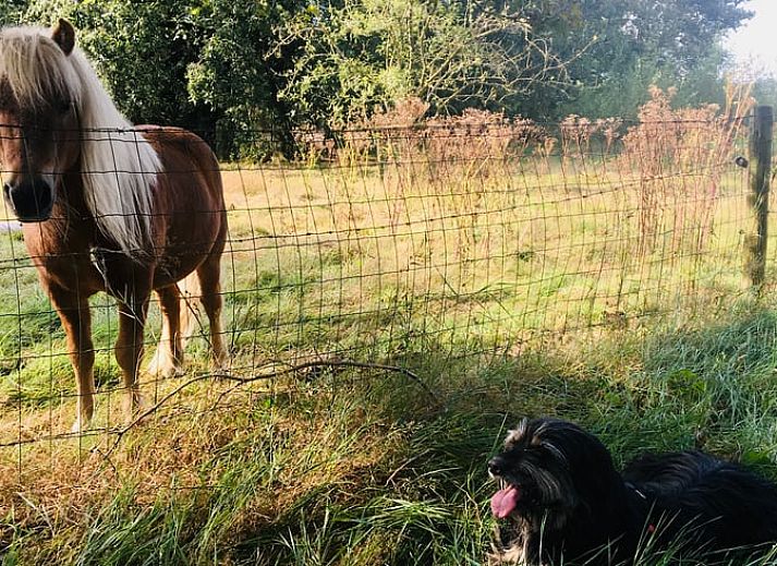 Spacious living room in Holiday home in Radewijk, Vechtstreek, Overijssel with glass doors.