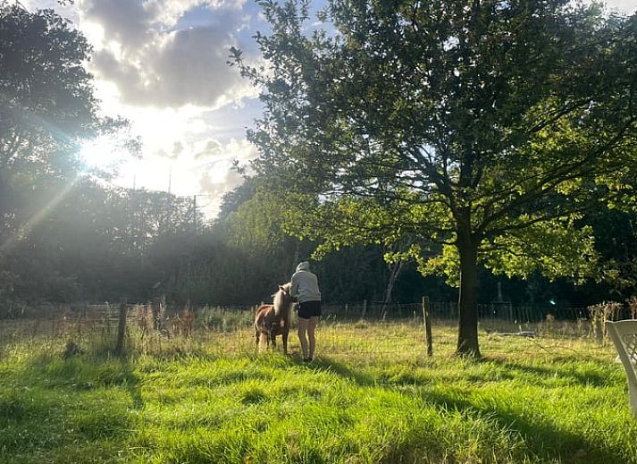 Spacious living room in Holiday home in Radewijk, Vechtstreek, Overijssel with glass doors.