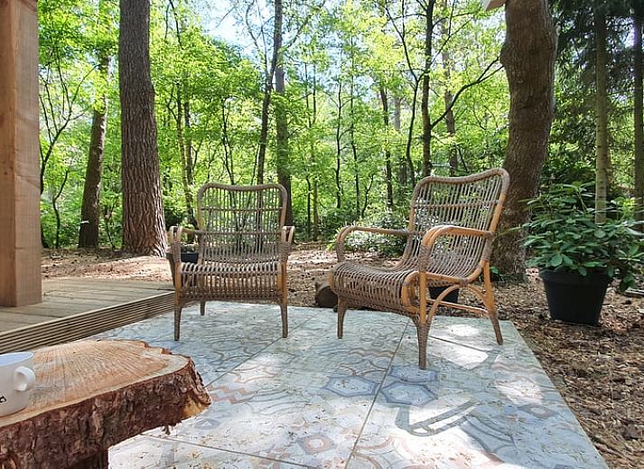 Veranda des Ferienhauses in Stegeren in der Region Vecht, Overijssel, mit Holzterrasse und Sitzecke in der Natur.