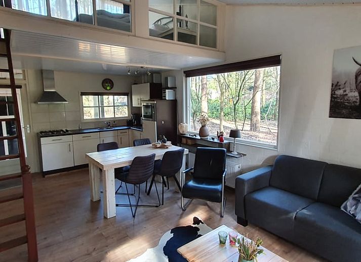 Umgebung von Huisje in Stegeren, Ferienhaus in den Waeldern von Vechtstreek, Overijssel, umgeben von Baeumen.