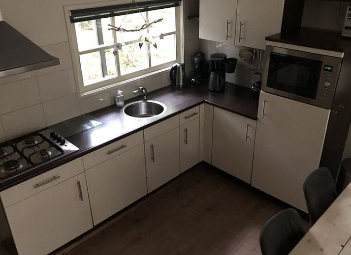 Umgebung von Huisje in Stegeren, Ferienhaus in den Waeldern von Vechtstreek, Overijssel, umgeben von Baeumen.