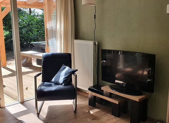 Umgebung von Huisje in Stegeren, Ferienhaus in den Waeldern von Vechtstreek, Overijssel, umgeben von Baeumen.