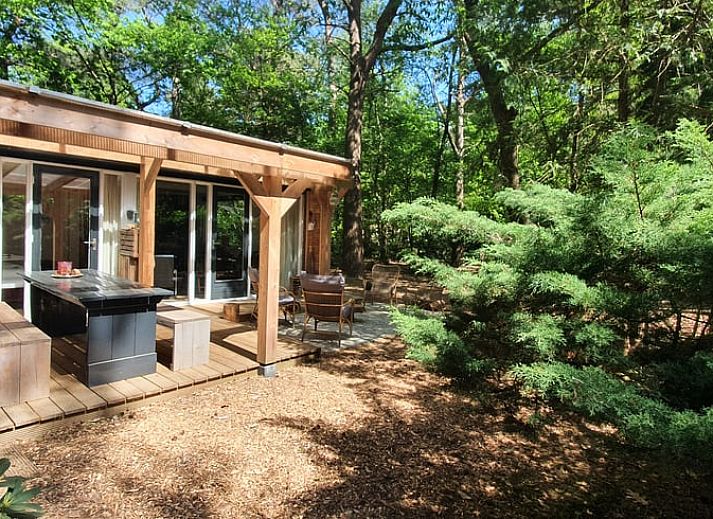 Terrasse von Cottage in Stegeren, Ferienhaus in Vechtstreek, Overijssel, mit Holzvordach und Sitzgelegenheit.