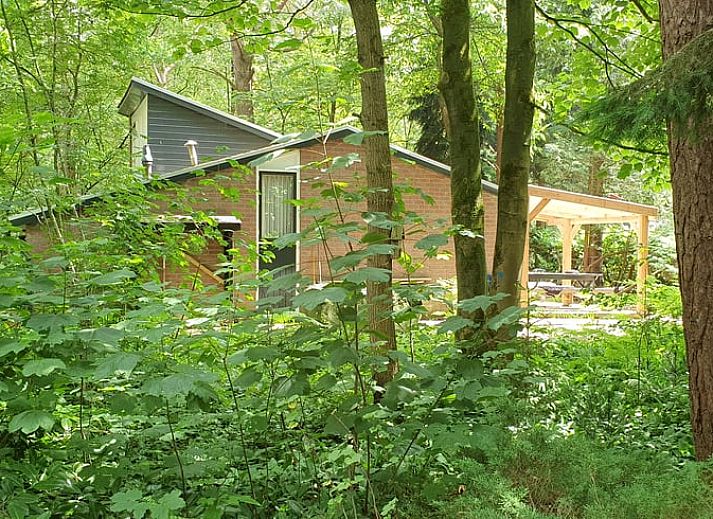 Terrasse von Cottage in Stegeren, Ferienhaus in Vechtstreek, Overijssel, mit Holzvordach und Sitzgelegenheit.