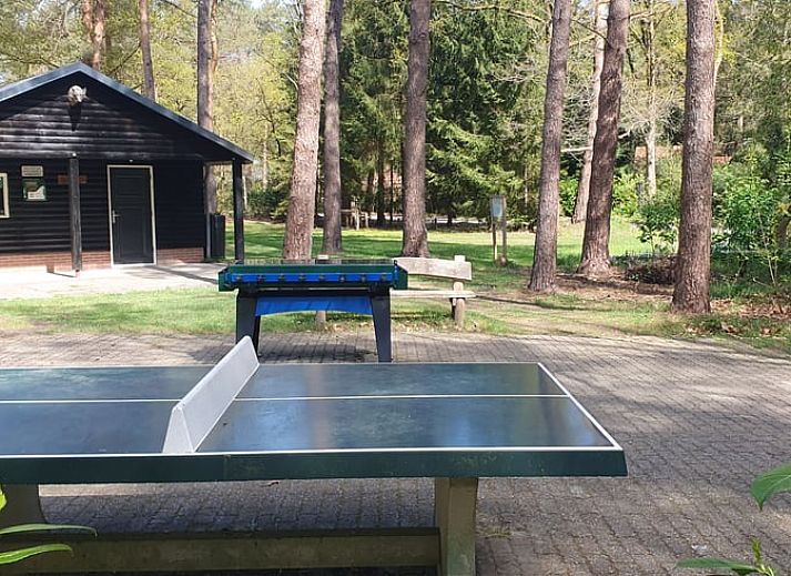 Sitzecke auf der Terrasse von Huisje in Stegeren, Ferienhaus in Vechtstreek, Overijssel, umgeben von gruener Natur.