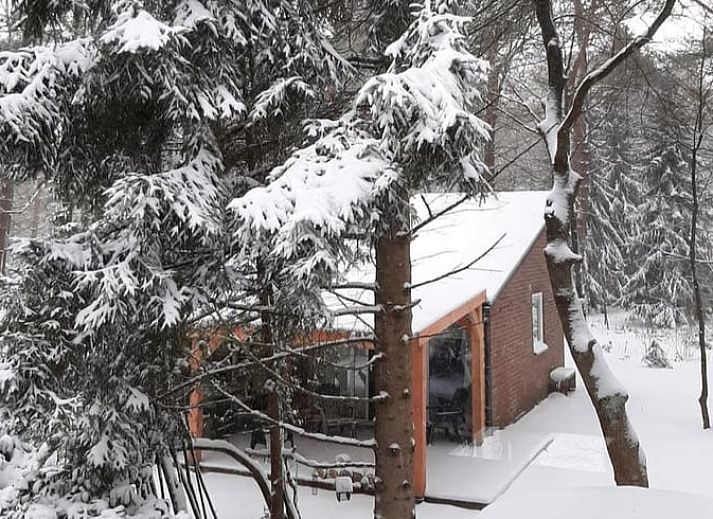 Sitzecke auf der Terrasse von Huisje in Stegeren, Ferienhaus in Vechtstreek, Overijssel, umgeben von gruener Natur.