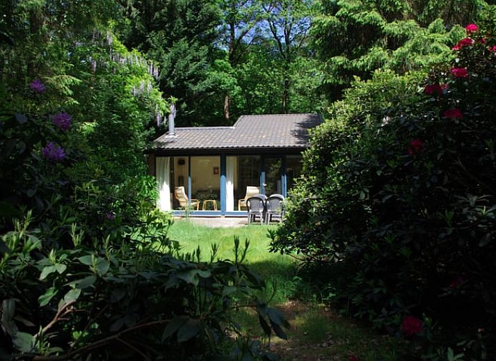 Guest house 542815 • Holiday property Vechtstreek • Huisje in Stegeren