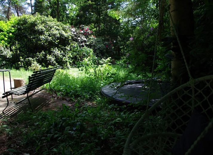 Huisje in Stegeren vakantiehuis met groene omgeving in Vechtstreek, Overijssel.